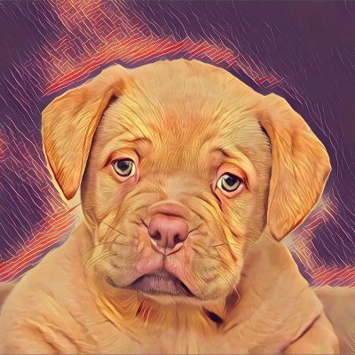 NftcriptoC's profile picture. NFT Collection New's