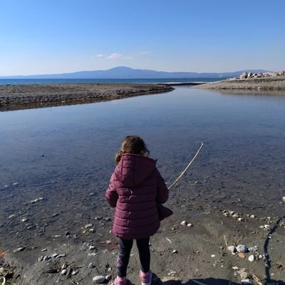 bookbookworm's profile picture. Γιατί κάποιος διαβάζει αυτά που του αρέσουν -ωστόσο γράφει όχι αυτά που θέλει να γράψει αλλά αυτά που είναι ικανός (Jorge Luis Borges)