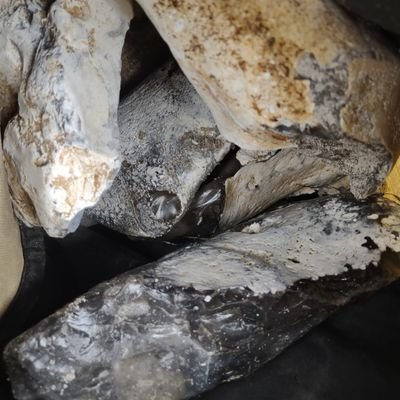 danzk1's profile picture. Don't follow me I never tweet stuff..