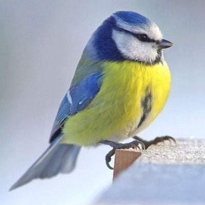 ClotildeDouard's profile picture. 