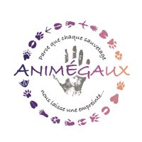 AnimÉgaux Officiel(@AnimegauxO) 's Twitter Profileg