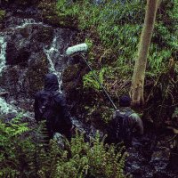 Nine Raths (@nineraths) 's Twitter Profile