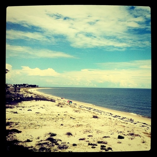 candiceaddis's profile picture. 