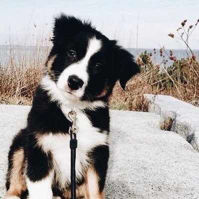 suicidaily's profile picture. 😶‍🌫️