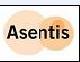 Asentis provides specialist IT and business systems resource management solutions staff.