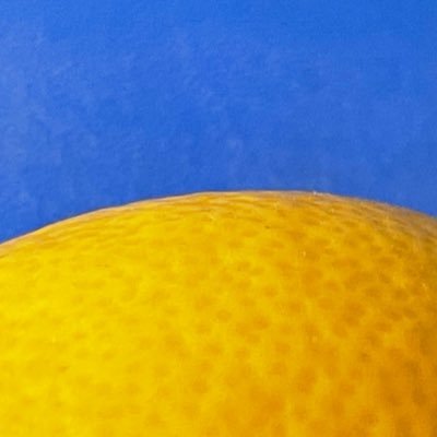 PCMcArdle's profile picture. life through a lens