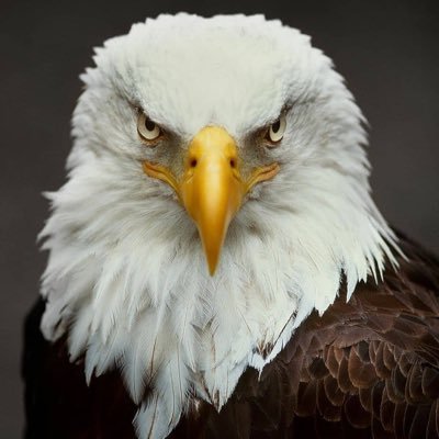 Trader for @Sevenpointscap Posts are not recommendations to buy or sell. Disclosures: https://t.co/gaw4rsFZ0G