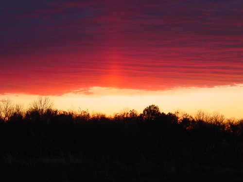 harleyjokers's profile picture. 