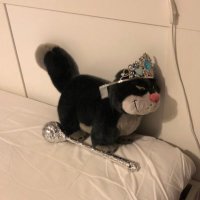 Antoine Geoffrey (@eltarquinator) 's Twitter Profile