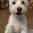sammy0924's profile image