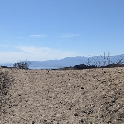 starkissu's profile picture. 