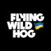 @Flying_Wild_Hog
