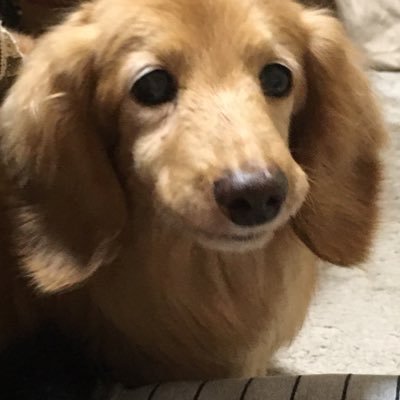 PEkp7biH9BmRGuX's profile picture. 