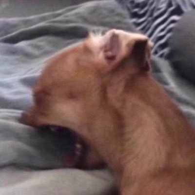 JaykePerdoo's profile picture. 