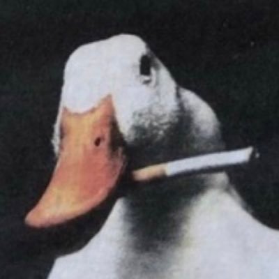 youraveragejojo's profile picture. From the river to the sea Palestine will be FREE