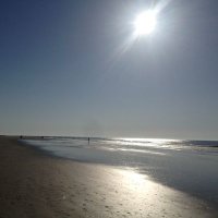 R Ro (@raucarree) 's Twitter Profile