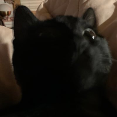 suxhiiii's profile picture. fellow sock enthusiasts