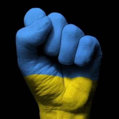 MartinHaug95's profile picture. 