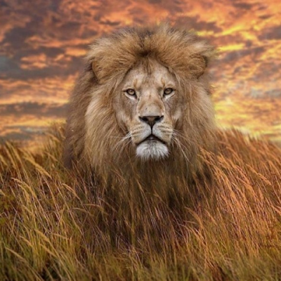 manuelm54223874's profile picture. 