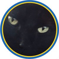 Kelli 🐈⬛ (@kaybeaway) 's Twitter Profile
