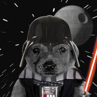 Degen Doggos - MINTING NOW! (@degendoggos_nft) 's Twitter Profile Photo Degen Doggos - MINTING NOW! (@degendoggos_nft) 's Twitter Profile Photo