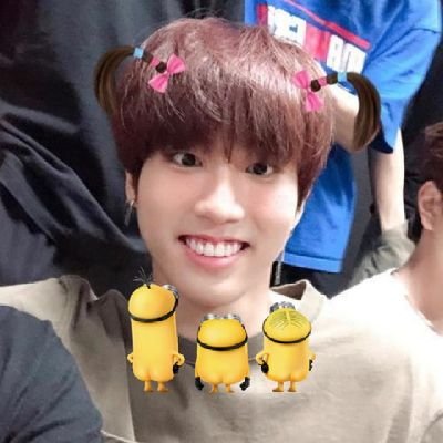 minhosFAN's profile picture. lee know is real