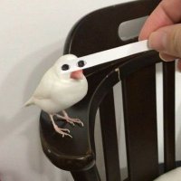 짤 백업계 (@jjal_upload) 's Twitter Profile
