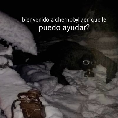 sora_scanx's profile picture. 