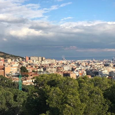 friedfalafell's profile picture. The final frontier 🧠