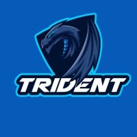 NFT Discord Servers 🔱 (@tridentservers) 's Twitter Profile