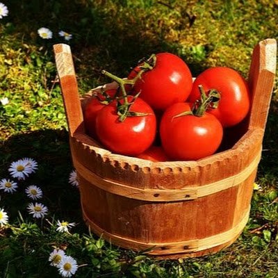 BrennanLang2's profile picture. 