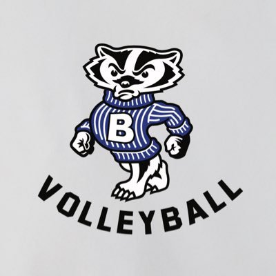 BadgerVolleybal Profile Picture