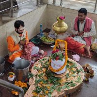 RAVI SHANKAR DUBEY (@ravishankardub5) 's Twitter Profile