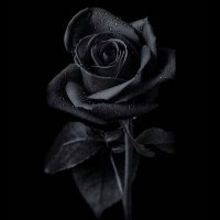 وزو (@wzw47730905) 's Twitter Profile