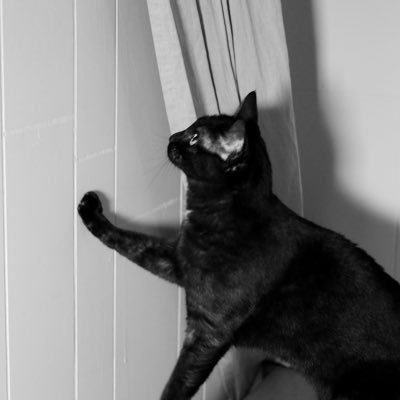 honeyyeatpan's profile picture. 在加7年、2023年帰国。2025.Febに出産、東京でのんびり子育て中。ほぼ育児記録。本とアンティークが好きです。Orthodox Christian / ミドサー / 配偶者は日本語喋る🇨🇦人