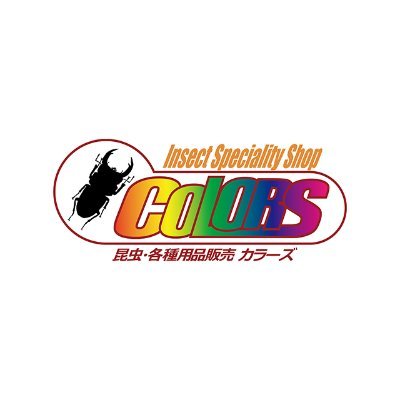 ▼カブトムシ/クワガタムシの専門店 ▼昆虫ファン納得のスペシャリティショップ ▼オンラインショップ | 全国配送(可)  ▼各種SNSで最新の入荷情報発信 |【公式LINE】 友達追加 → https://t.co/luELjLVjI5