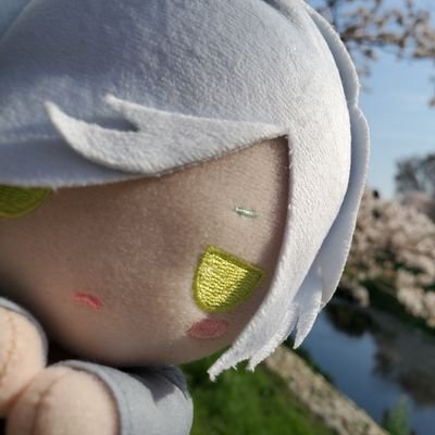 なみず。さんのプロフィール画像