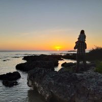 Trevor Padgett (@trevorcpadgett) 's Twitter Profile Photo