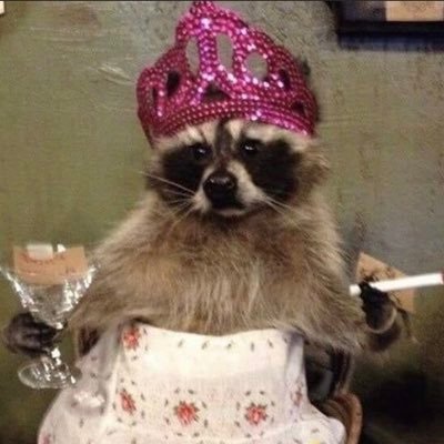 IsabellaMacKen's profile picture. just do what makes you happy