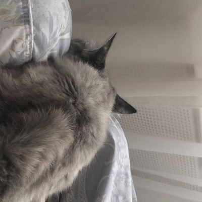 intrflyi's profile picture. 