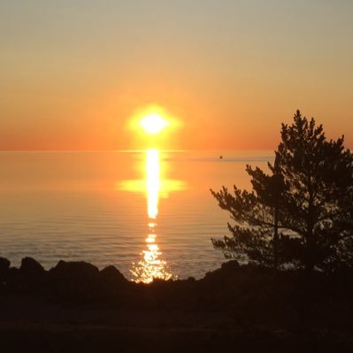 Bthankful19's profile picture. 
