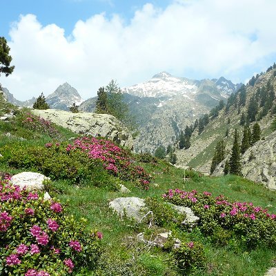 DJuignet's profile picture. Montagne ,opèra ,voyages .
Anti fachiste ,déteste toutes les extrêmes de droite ,comme de gauche