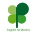 🍀 Plena inclusión Región de Murcia (@PlenaMurcia) Twitter profile photo