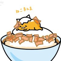 ねこまんまおかわり (@terimayo00) 's Twitter Profile