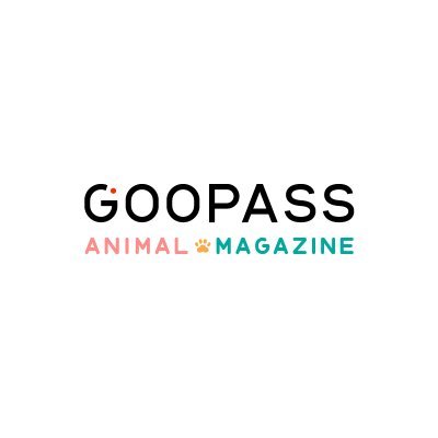 GOOPASS ANIMAL MAGAZINE｜カメラのサブスクGOOPASS