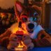 Cinnamon Collie (@cinnamon_collie) Twitter profile photo Cinnamon Collie (@cinnamon_collie) Twitter profile photo