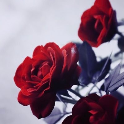 وَٱخْفِضْ لَهُمَا جَنَاحَ ٱلذُّلِّ مِنَ ٱلرَّحْمَةِ وَقُل رَّبِّ ٱرْحَمْهُمَا كَمَا رَبَّيَانِى صَغِيرًا