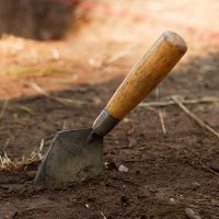 Bishop Big Dig (@thebishopbigdig) 's Twitter Profile