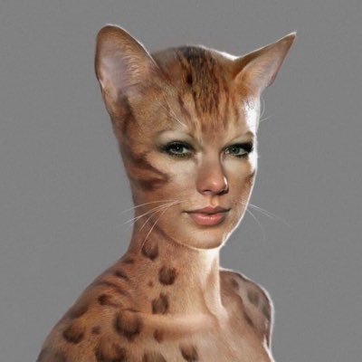 sjobergnil's profile picture. 