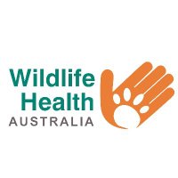Wildlife Health Australia(@healthywildlife) 's Twitter Profile Photo